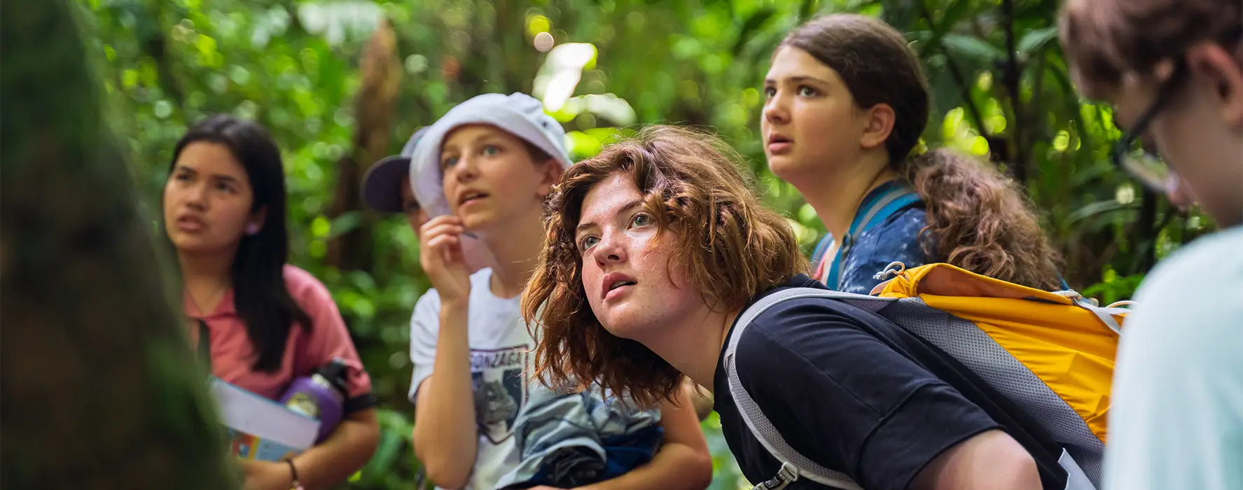 A group of 6 students in a Costa Rican rainforest look at something in the distance.