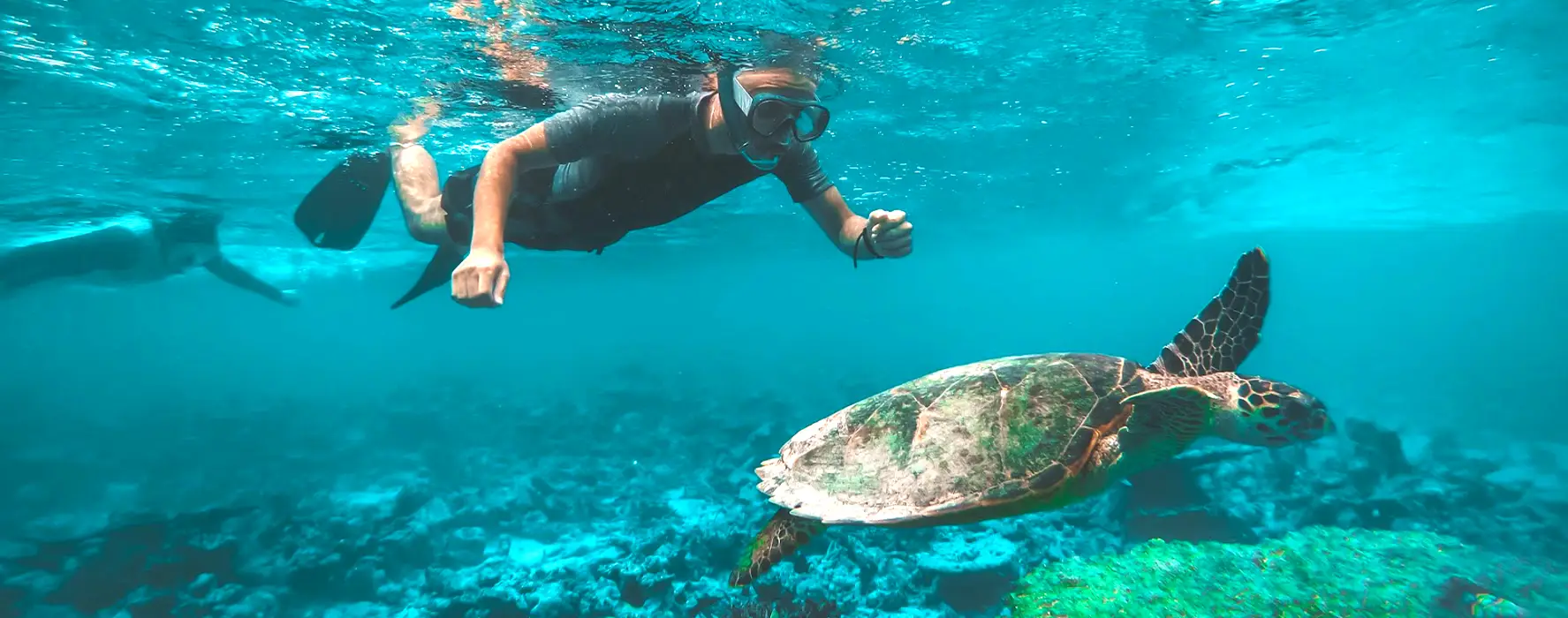 A underwater photo of a student snorkeling with a turtle.